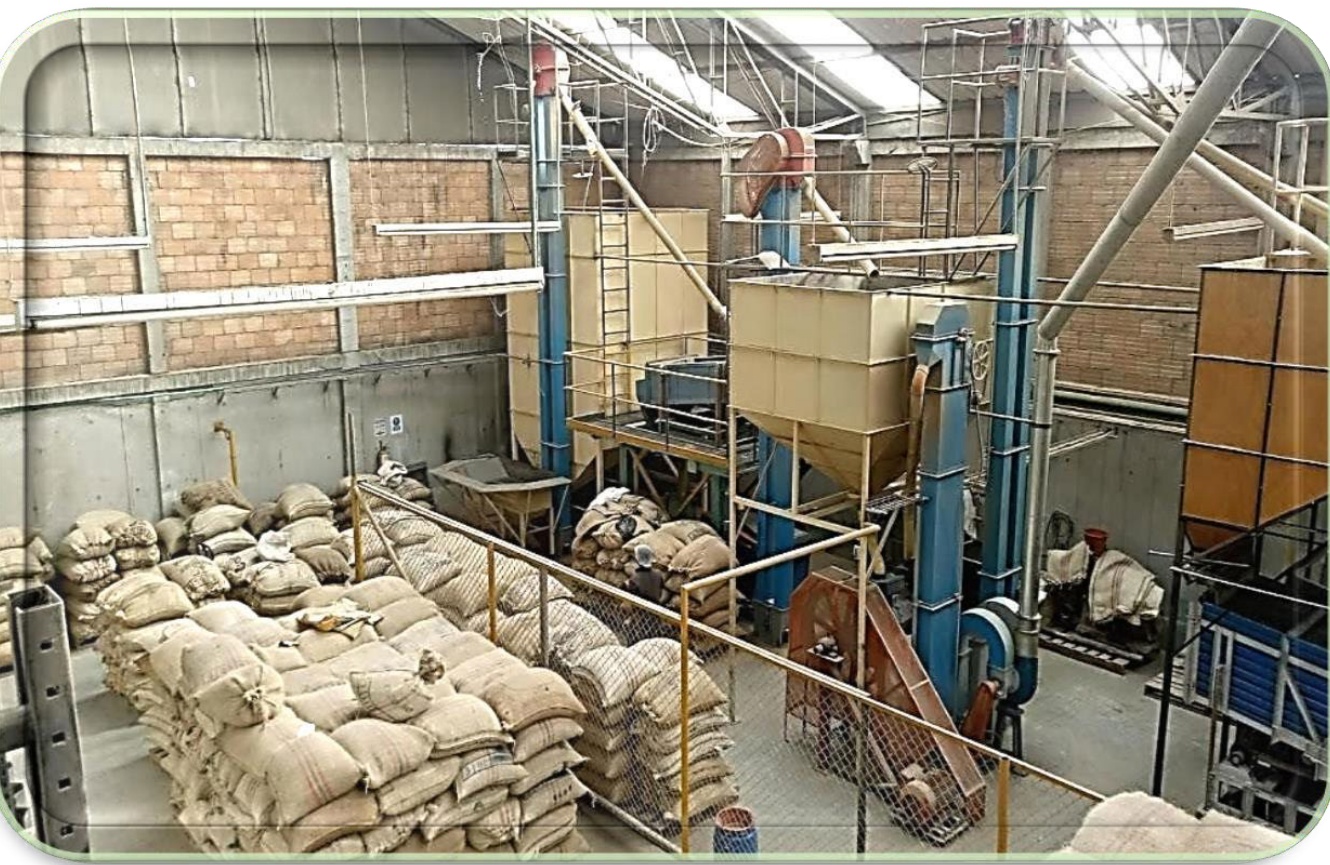 Sacos de café pergamino almacenados en la planta