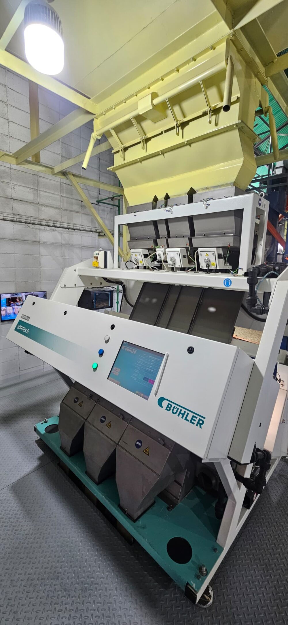 Clasificadora óptica Bühler Sortex B en la planta de beneficio