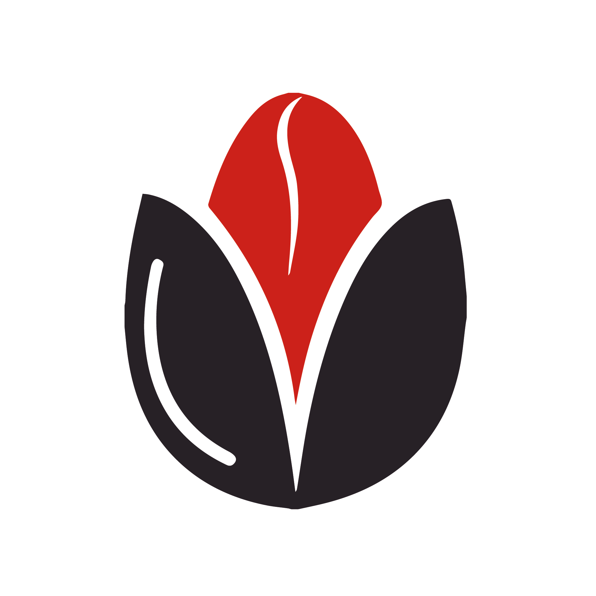 Vero Caffè